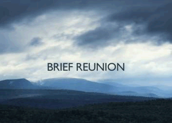 Brief Reunion project image